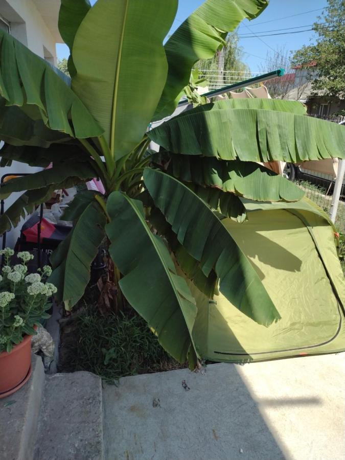 Thai House 코스티네스티 외부 사진